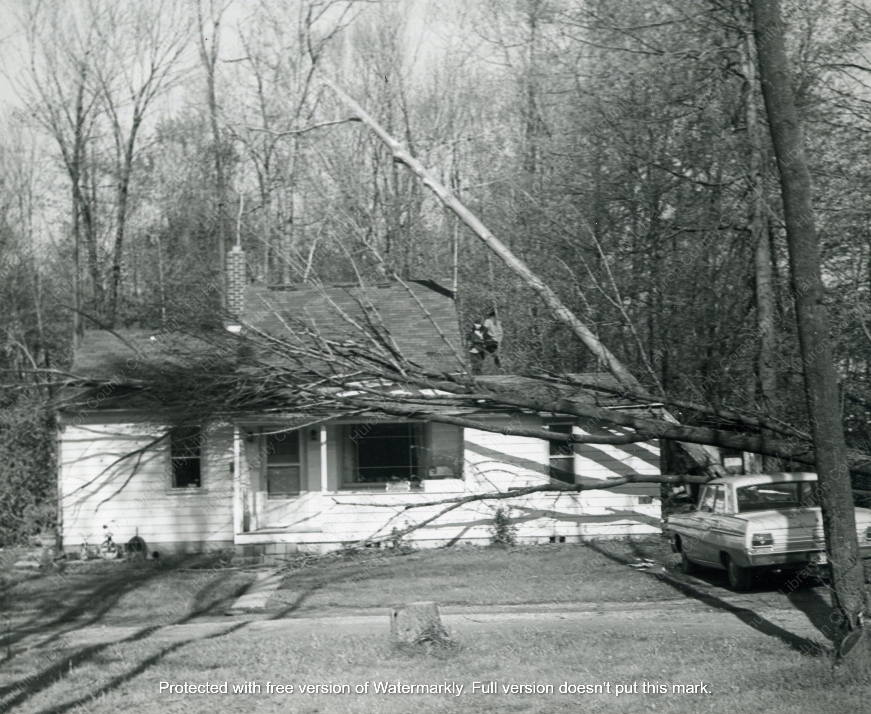 1973 Willard Tornado - 67
