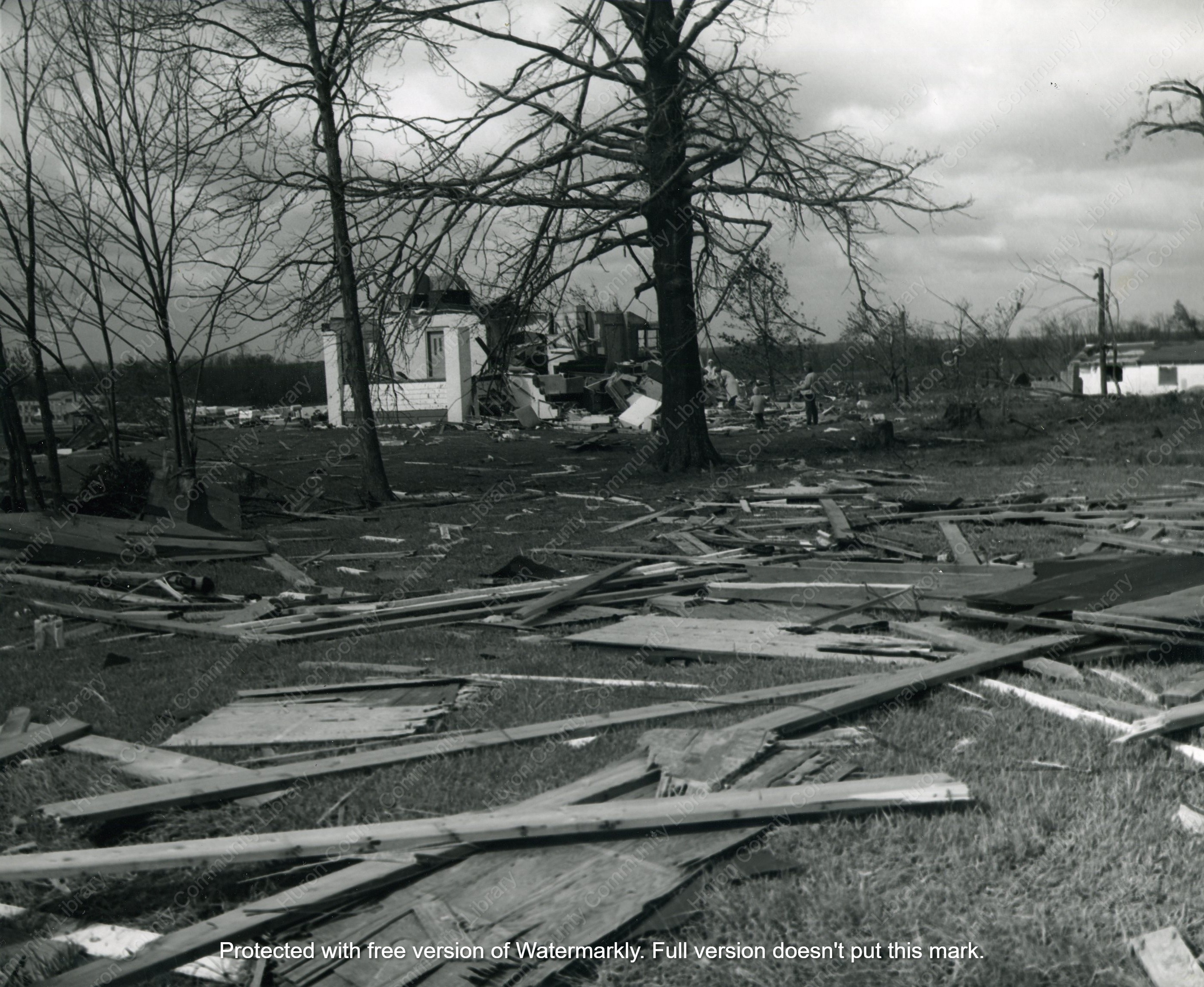 1973 Willard Tornado - 75