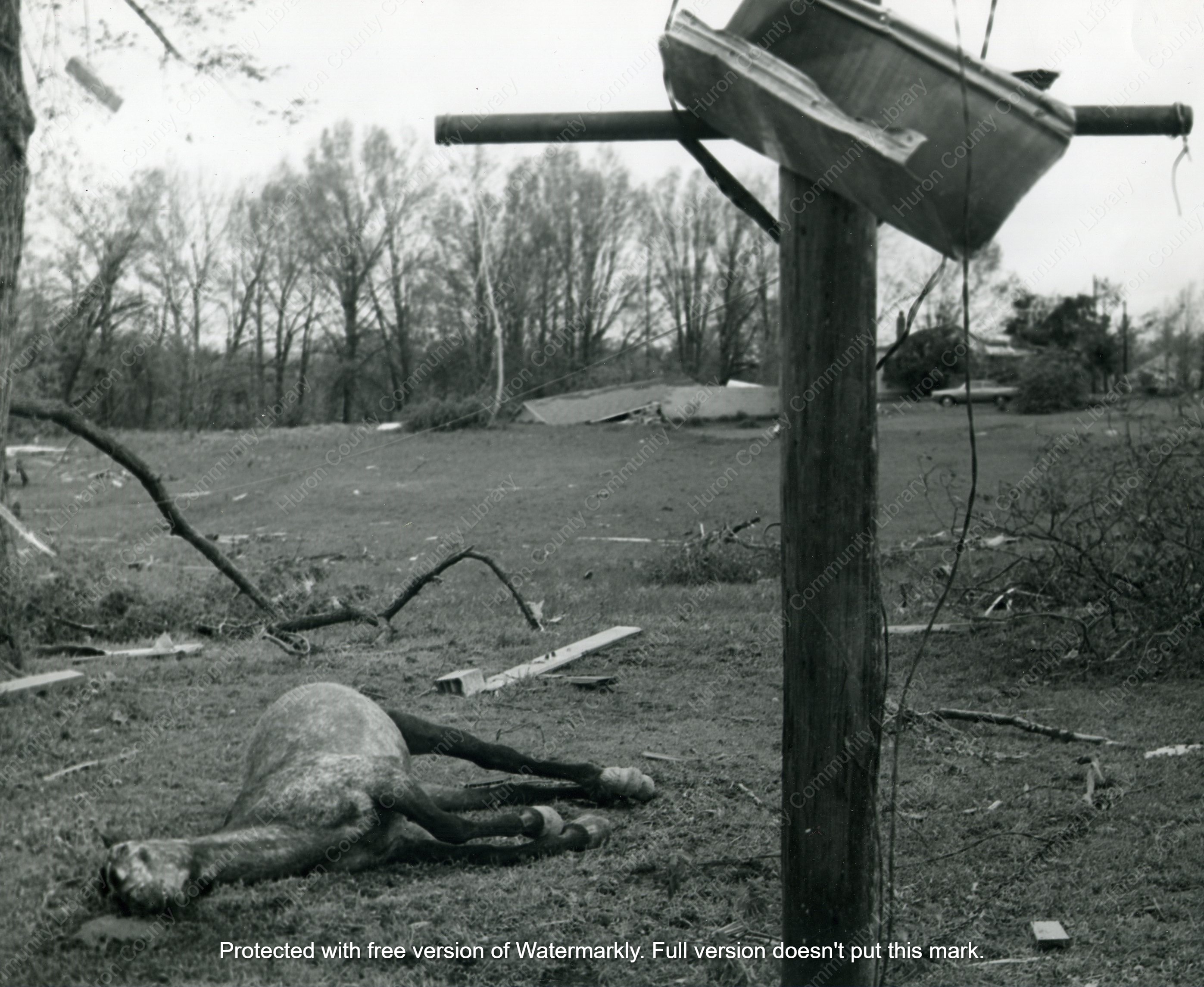 1973 Willard Tornado - 80